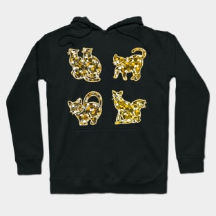 Crystal Group Cat (yellow) Hoodie